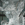 photo icon