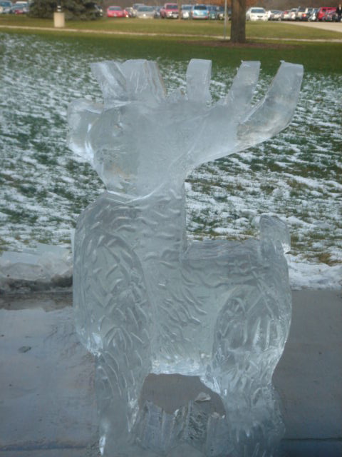 Ice Sculpture